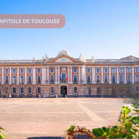 아파트 T2 Climatise - Ac - Terrasse Et Parking Prive - 5 Min Airport & Airbus