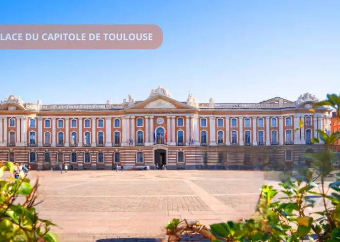 Daire T2 Havre Du Paix Purpan Climatise - Parking - Airbus & Hopitaux