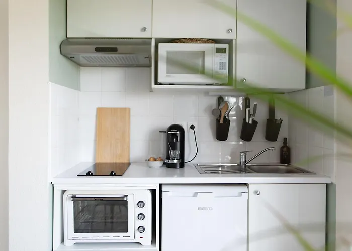 Daire T2 Havre Du Paix Purpan Climatise - Parking - Airbus & Hopitaux Toulouse